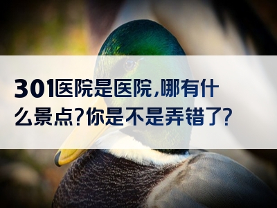301医院是医院，哪有什么景点？你是不是弄错了？