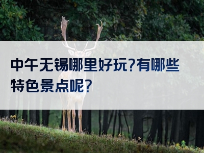 中午无锡哪里好玩？有哪些特色景点呢？