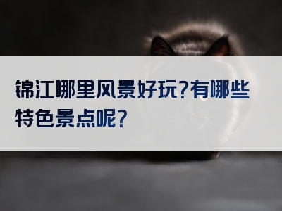 锦江哪里风景好玩？有哪些特色景点呢？