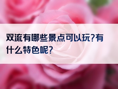 双流有哪些景点可以玩？有什么特色呢？
