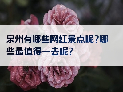泉州有哪些网红景点呢？哪些最值得一去呢？