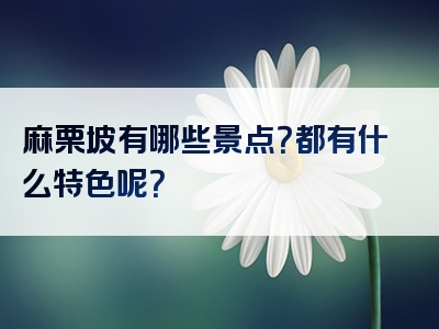 麻栗坡有哪些景点？都有什么特色呢？