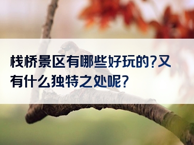 栈桥景区有哪些好玩的？又有什么独特之处呢？