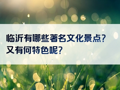 临沂有哪些著名文化景点？又有何特色呢？
