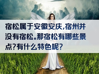 宿松属于安徽安庆，宿州并没有宿松。那宿松有哪些景点？有什么特色呢？