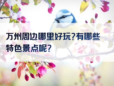 万州周边哪里好玩？有哪些特色景点呢？