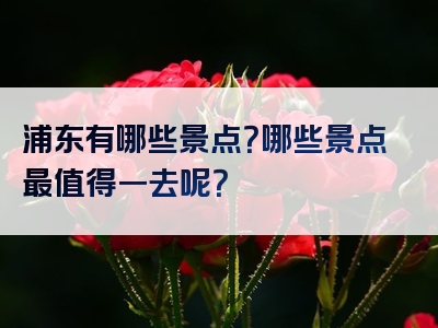 浦东有哪些景点？哪些景点最值得一去呢？