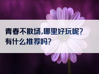 青春不散场，哪里好玩呢？有什么推荐吗？