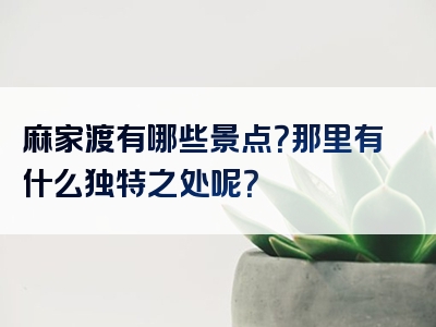 麻家渡有哪些景点？那里有什么独特之处呢？