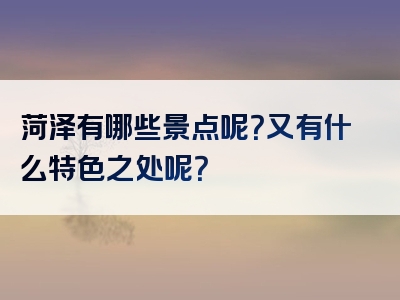 菏泽有哪些景点呢？又有什么特色之处呢？