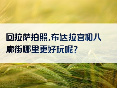 回拉萨拍照，布达拉宫和八廓街哪里更好玩呢？