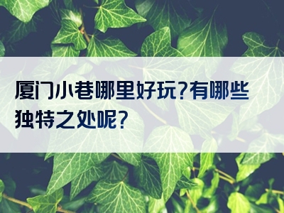 厦门小巷哪里好玩？有哪些独特之处呢？