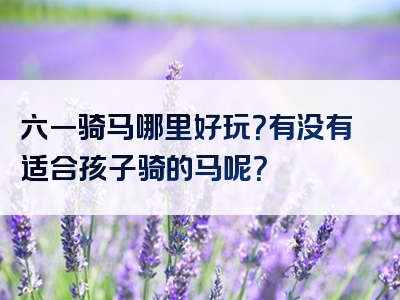 六一骑马哪里好玩？有没有适合孩子骑的马呢？