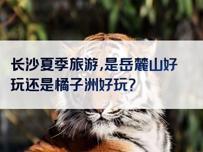 长沙夏季旅游，是岳麓山好玩还是橘子洲好玩？