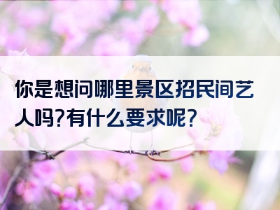 你是想问哪里景区招民间艺人吗？有什么要求呢？