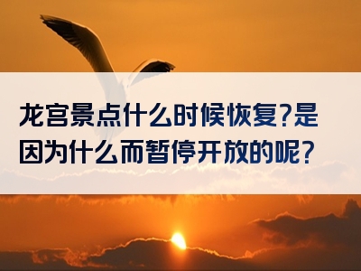 龙宫景点什么时候恢复？是因为什么而暂停开放的呢？