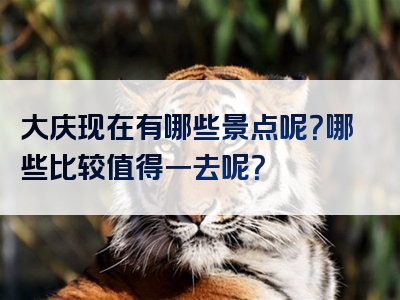 大庆现在有哪些景点呢？哪些比较值得一去呢？