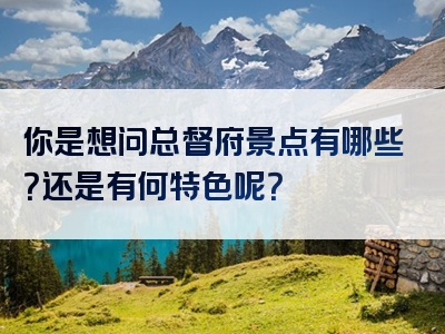 你是想问总督府景点有哪些？还是有何特色呢？