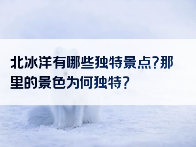 北冰洋有哪些独特景点？那里的景色为何独特？