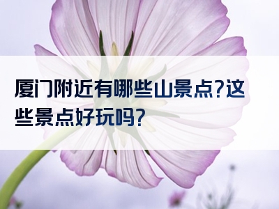 厦门附近有哪些山景点？这些景点好玩吗？