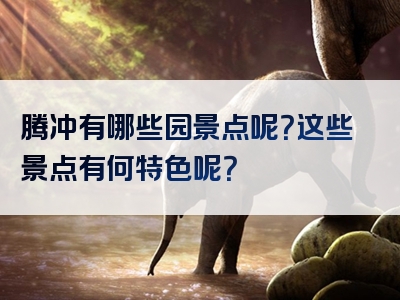 腾冲有哪些园景点呢？这些景点有何特色呢？