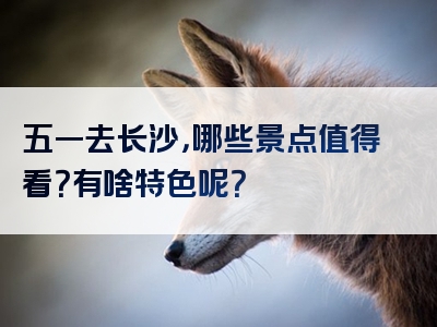 五一去长沙，哪些景点值得看？有啥特色呢？