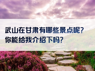 武山在甘肃有哪些景点呢？你能给我介绍下吗？