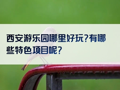 西安游乐园哪里好玩？有哪些特色项目呢？