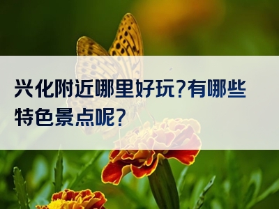 兴化附近哪里好玩？有哪些特色景点呢？