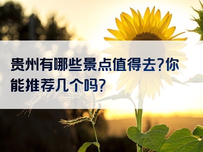 贵州有哪些景点值得去？你能推荐几个吗？