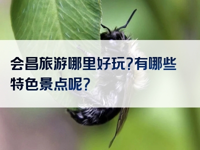 会昌旅游哪里好玩？有哪些特色景点呢？