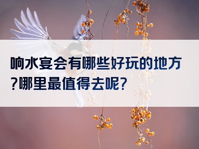 响水宴会有哪些好玩的地方？哪里最值得去呢？