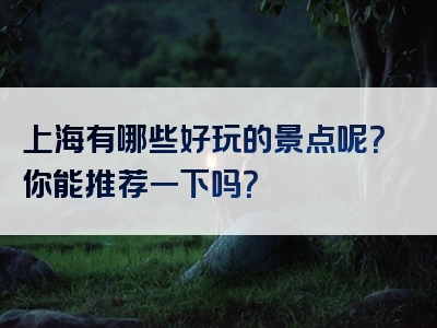 上海有哪些好玩的景点呢？你能推荐一下吗？