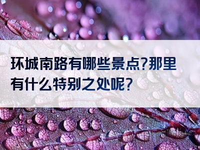 环城南路有哪些景点？那里有什么特别之处呢？