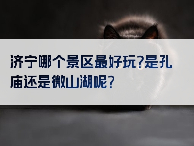 济宁哪个景区最好玩？是孔庙还是微山湖呢？
