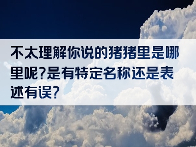 不太理解你说的猪猪里是哪里呢？是有特定名称还是表述有误？