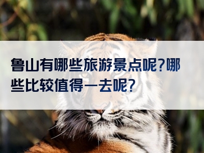鲁山有哪些旅游景点呢？哪些比较值得一去呢？
