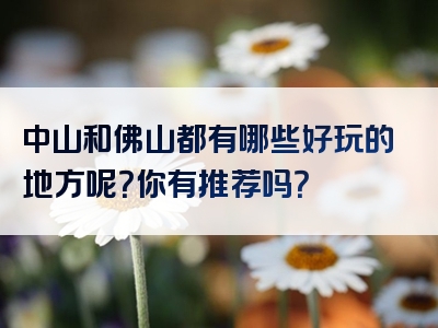 中山和佛山都有哪些好玩的地方呢？你有推荐吗？