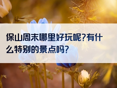 保山周末哪里好玩呢？有什么特别的景点吗？