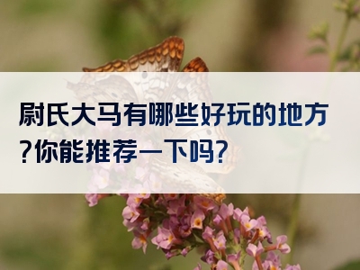 尉氏大马有哪些好玩的地方？你能推荐一下吗？