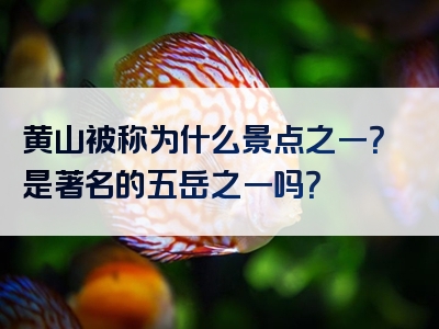 黄山被称为什么景点之一？是著名的五岳之一吗？