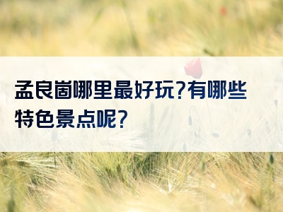 孟良崮哪里最好玩？有哪些特色景点呢？