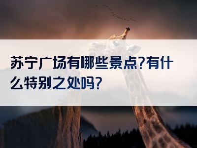 苏宁广场有哪些景点？有什么特别之处吗？