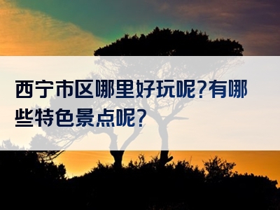 西宁市区哪里好玩呢？有哪些特色景点呢？