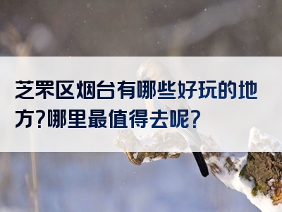 芝罘区烟台有哪些好玩的地方？哪里最值得去呢？