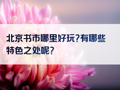 北京书市哪里好玩？有哪些特色之处呢？