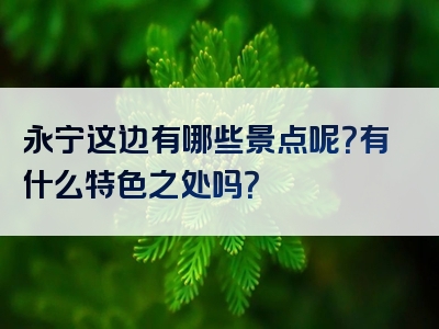 永宁这边有哪些景点呢？有什么特色之处吗？