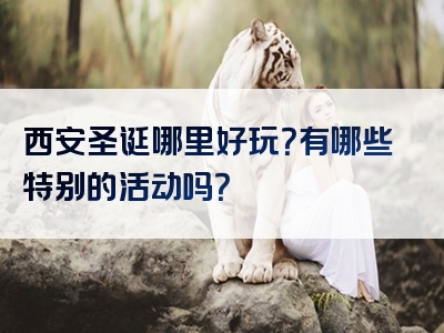 西安圣诞哪里好玩？有哪些特别的活动吗？