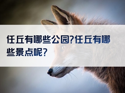 任丘有哪些公园？任丘有哪些景点呢？