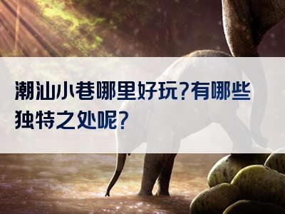 潮汕小巷哪里好玩？有哪些独特之处呢？